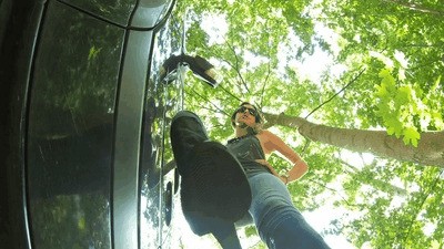 Trampling You In The Forest Parking Lot